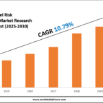 AI Model Risk Management Market