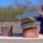 Chimney Animal Removal