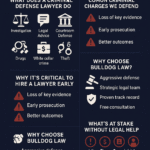 Criminal Defense Lawyer