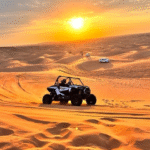 Desert Safari Adventures - Dubai