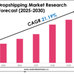 Dropshipping Market