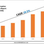 Email Encryption Market