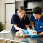 Import veterinary products Oman
