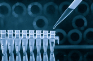Isothermal Amplification Reagents
