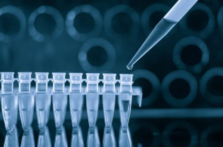 Isothermal Amplification Reagents