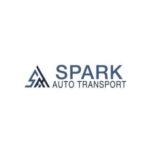 golf cart transport service