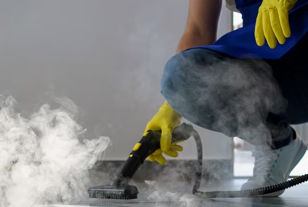 Steam Carpet Cleaning