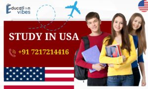 How much percentage is required for scholarship in USA?