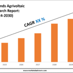 The Netherlands Agrivoltaic Market