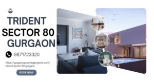 Trident Sector 80