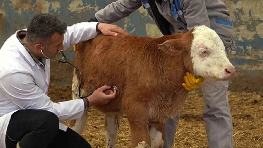 Turkish veterinary company