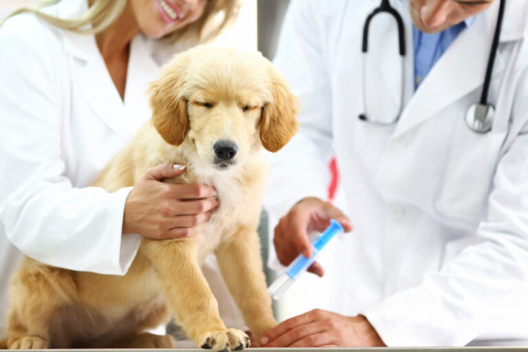 Veterinary product distributors in Oman