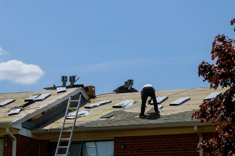 Eco-Friendly Roofing Options for Sustainable Homes