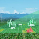 Crop acreage data