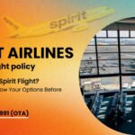 spirit airlines missed flight policy