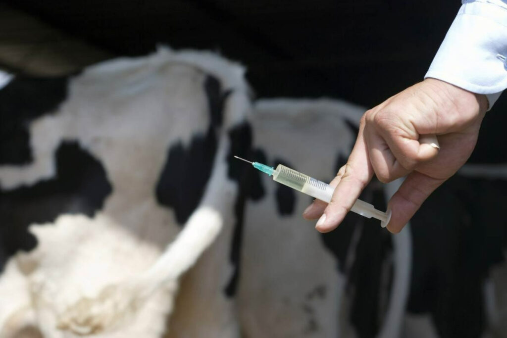 veterinary injections Turkey