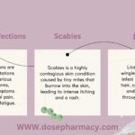 Can Ivermectin Treat Scabies, Lice, and Worms?