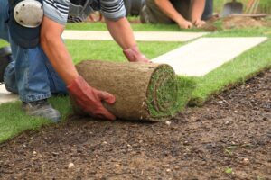Artificial Turf
