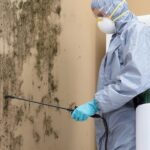 Mold Removal Richardson