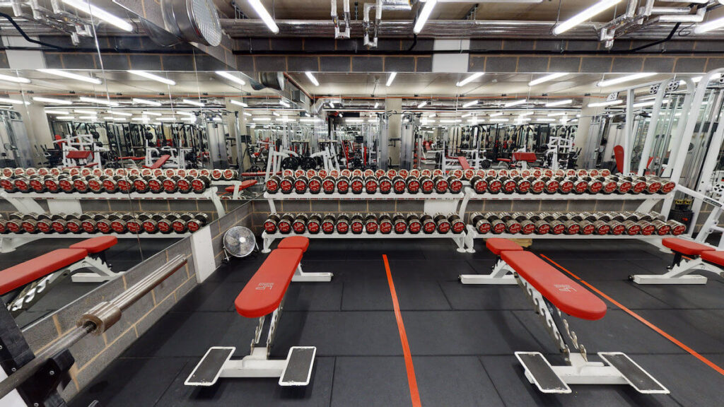 expert gym trainer