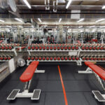 expert gym trainer