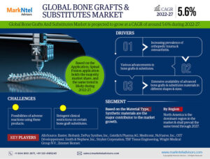 Global-Bone-Grafts--Substitutes-Market