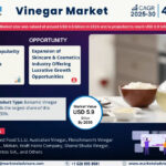 Global Vinegar Market