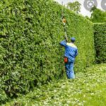 Hedge Trimming in uk