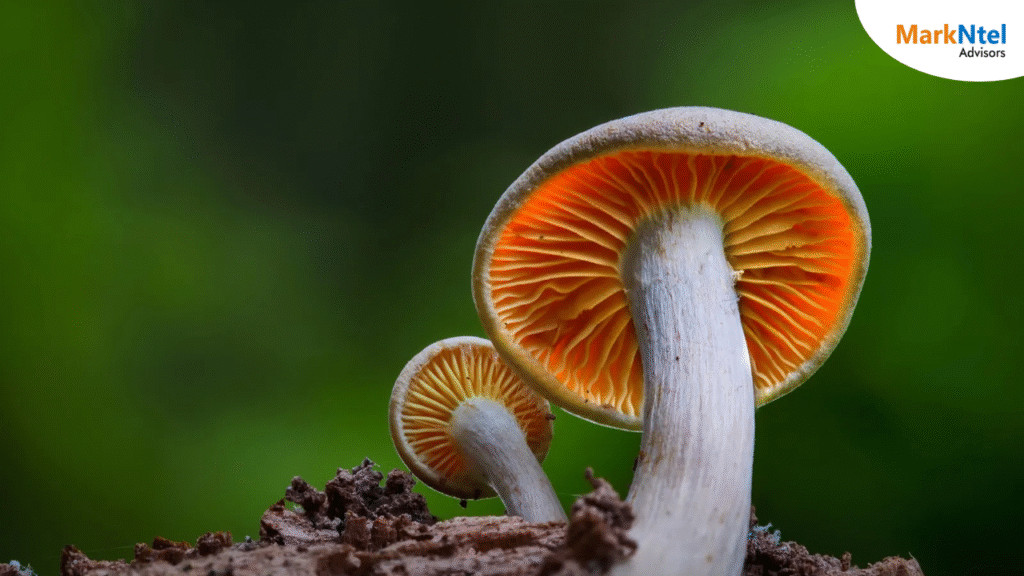 Indonesia Mushroom Market