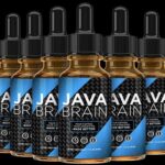java brain