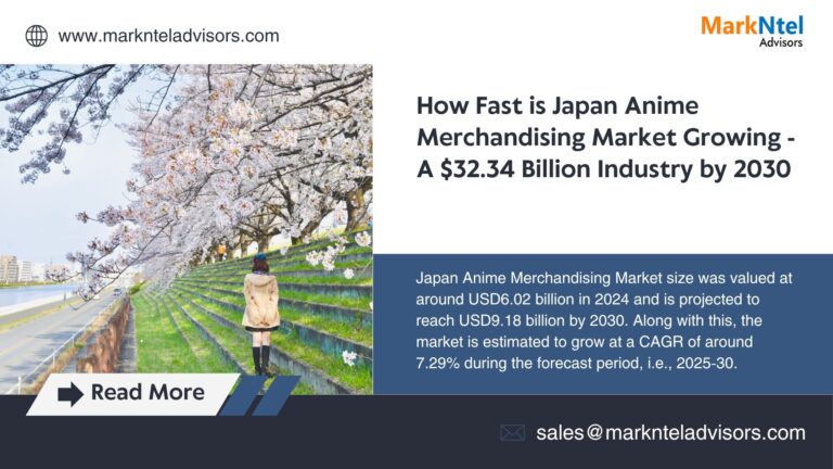 Japan Anime Merchandising Market