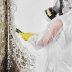 Mold Removal Plano