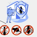 Pest Control Burnaby