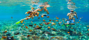 Snorkeling and Diving Spots in Zanzibar