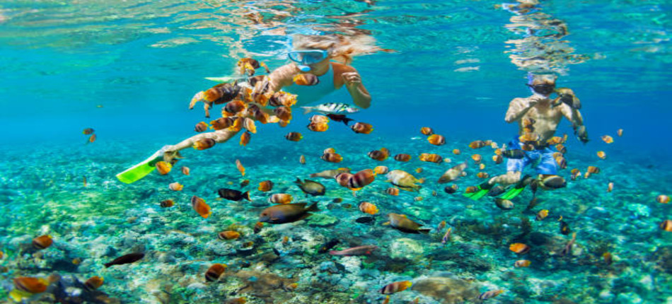 Snorkeling and Diving Spots in Zanzibar