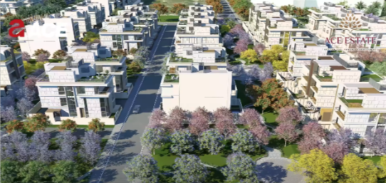 Yamuna Expressway Residential Plots