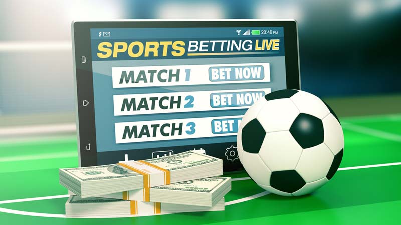 betting-guide-beginners