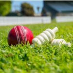 cricket id 1