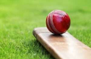 cricket id