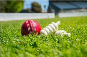 cricket id 1