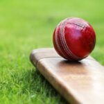cricket id