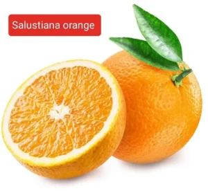 https://dogargardens.com/product/salustiana-orange-plants/