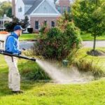mosquito exterminator in Georgetown