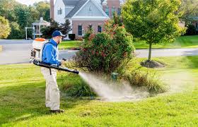 mosquito exterminator in Georgetown