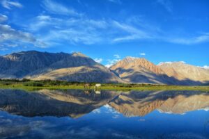 ladakh (2)
