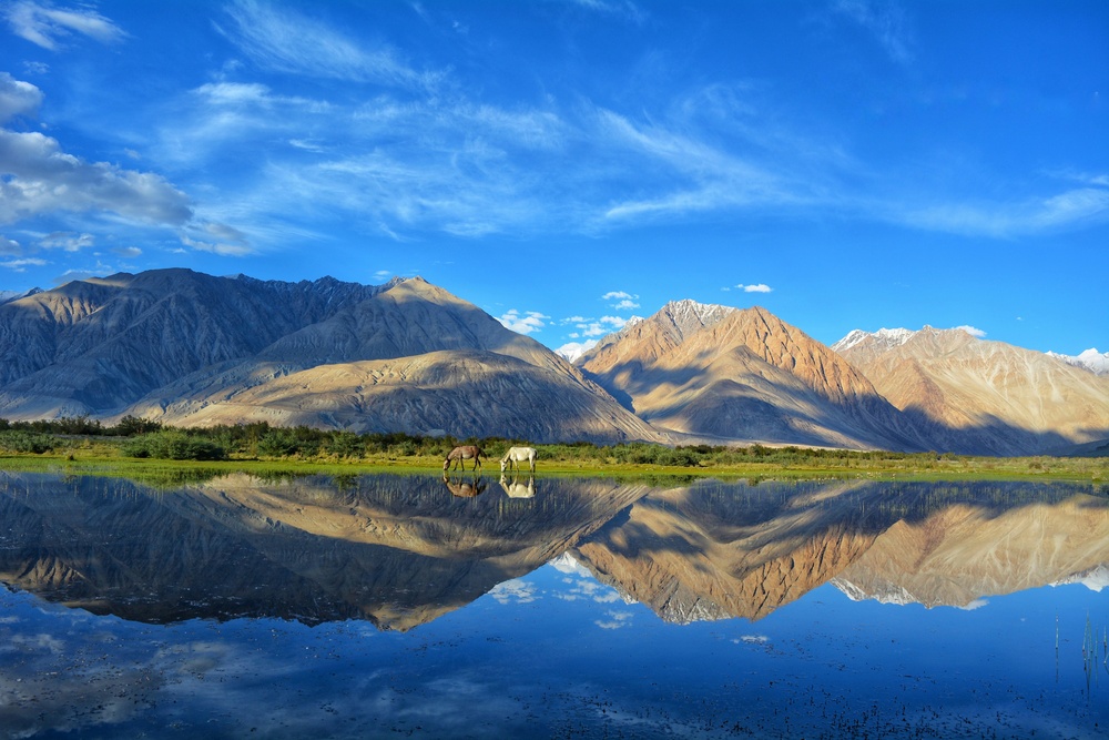 ladakh (2)