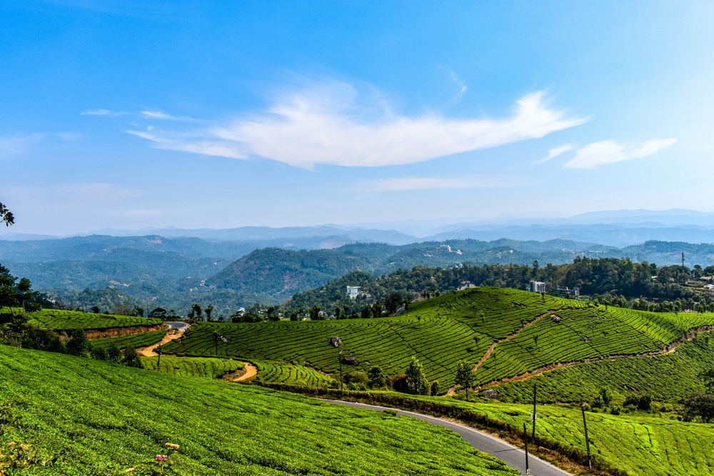 munnar