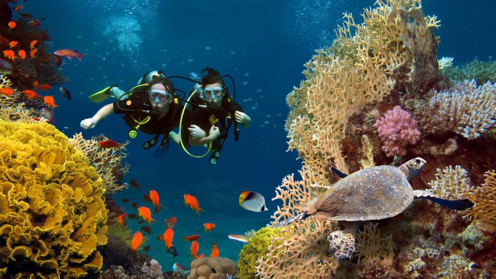 phinda-scuba-fishes