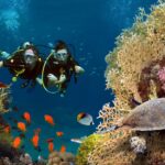 phinda-scuba-fishes