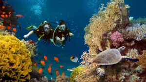 phinda-scuba-fishes